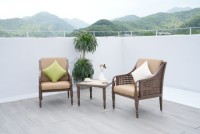 New Rattan - Dining Chair